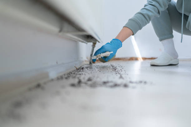 Pest Control Cost in Grenada, MS